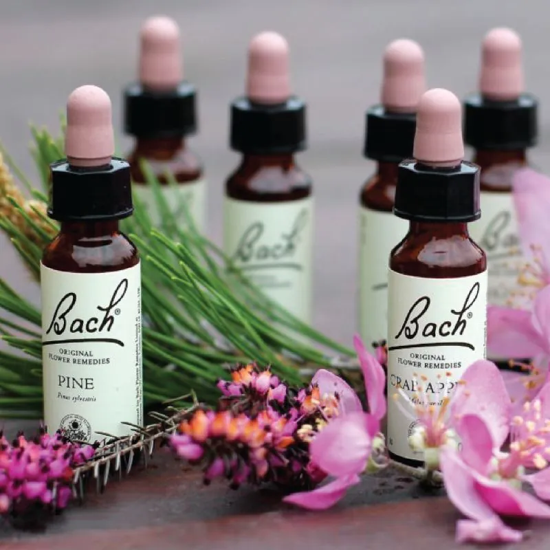 Studio zdraví Nedvědice - Bachovy květové esence